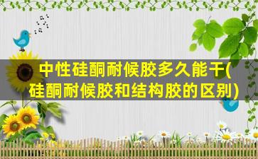 中性硅酮耐候胶多久能干(硅酮耐候胶和结构胶的区别)
