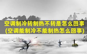 空调制冷转制热不转是怎么回事(空调能制冷不能制热怎么回事)