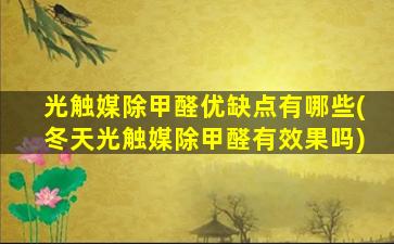 光触媒除甲醛优缺点有哪些(冬天光触媒除甲醛有效果吗)