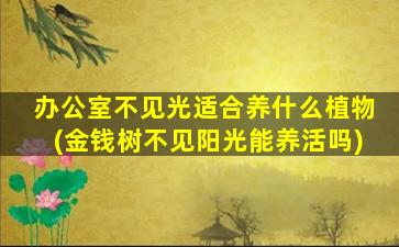 办公室不见光适合养什么植物(金钱树不见阳光能养活吗)