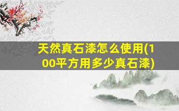 天然真石漆怎么使用(100平方用多少真石漆)