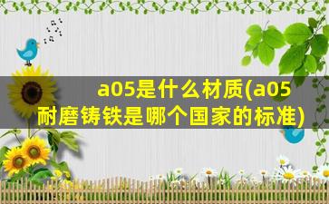 a05是什么材质(a05耐磨铸铁是哪个国家的标准)