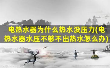 电热水器为什么热水没压力(电热水器水压不够不出热水怎么办)