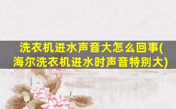 洗衣机进水声音大怎么回事(海尔洗衣机进水时声音特别大)