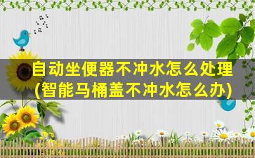 自动坐便器不冲水怎么处理(智能马桶盖不冲水怎么办)