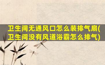 卫生间无通风口怎么装排气扇(卫生间没有风道浴霸怎么排气)