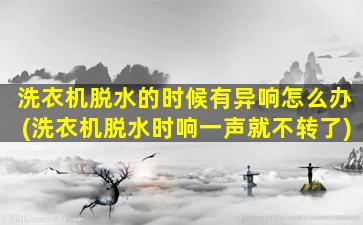 洗衣机脱水的时候有异响怎么办(洗衣机脱水时响一声就不转了)