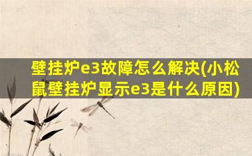 壁挂炉e3故障怎么解决(小松鼠壁挂炉显示e3是什么原因)