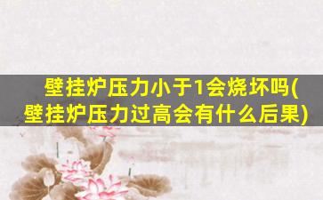 壁挂炉压力小于1会烧坏吗(壁挂炉压力过高会有什么后果)