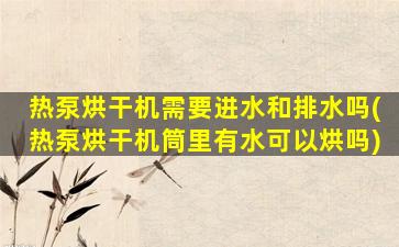 热泵烘干机需要进水和排水吗(热泵烘干机筒里有水可以烘吗)