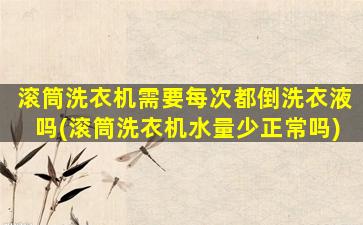 滚筒洗衣机需要每次都倒洗衣液吗(滚筒洗衣机水量少正常吗)