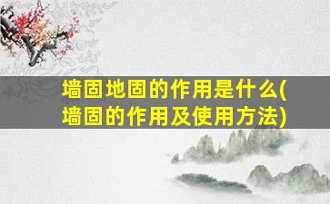 墙固地固的作用是什么(墙固的作用及使用方法)