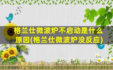 格兰仕微波炉不启动是什么原因(格兰仕微波炉没反应)