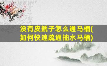 没有皮搋子怎么通马桶(如何快速疏通抽水马桶)