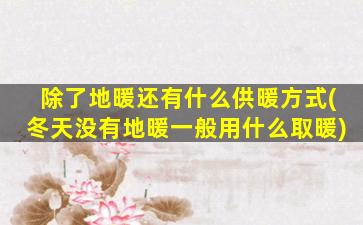 除了地暖还有什么供暖方式(冬天没有地暖一般用什么取暖)
