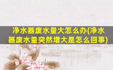 净水器废水量大怎么办(净水器废水量突然增大是怎么回事)