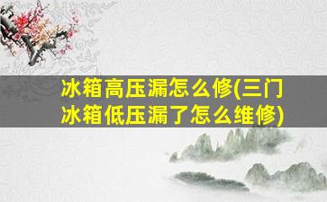 冰箱高压漏怎么修(三门冰箱低压漏了怎么维修)