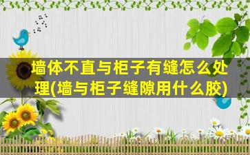 墙体不直与柜子有缝怎么处理(墙与柜子缝隙用什么胶)