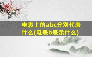 电表上的abc分别代表什么(电表b表示什么)