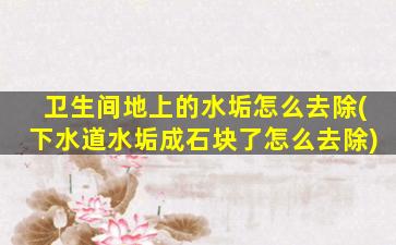 卫生间地上的水垢怎么去除(下水道水垢成石块了怎么去除)