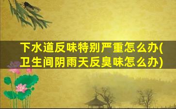 下水道反味特别严重怎么办(卫生间阴雨天反臭味怎么办)