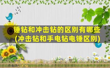 锤钻和冲击钻的区别有哪些(冲击钻和手电钻电锤区别)