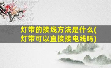 灯带的接线方法是什么(灯带可以直接接电线吗)