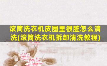 滚筒洗衣机皮圈里很脏怎么清洗(滚筒洗衣机拆卸清洗教程)