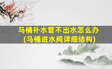 马桶补水管不出水怎么办(马桶进水阀详细结构)