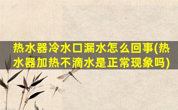 热水器冷水口漏水怎么回事(热水器加热不滴水是正常现象吗)