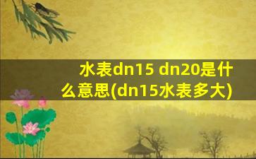 水表dn15 dn20是什么意思(dn15水表多大)