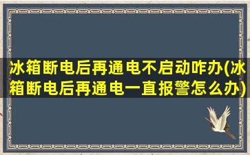 冰箱断电后再通电不启动咋办(冰箱断电后再通电一直报警怎么办)