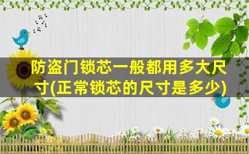 防盗门锁芯一般都用多大尺寸(正常锁芯的尺寸是多少)