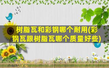 树脂瓦和彩钢哪个耐用(彩钢瓦跟树脂瓦哪个质量好些)
