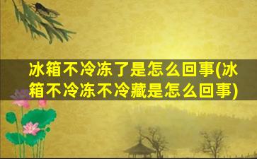 冰箱不冷冻了是怎么回事(冰箱不冷冻不冷藏是怎么回事)