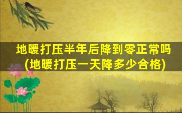 地暖打压半年后降到零正常吗(地暖打压一天降多少合格)