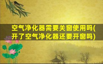 空气净化器需要关窗使用吗(开了空气净化器还要开窗吗)