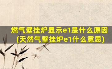 燃气壁挂炉显示e1是什么原因(天然气壁挂炉e1什么意思)