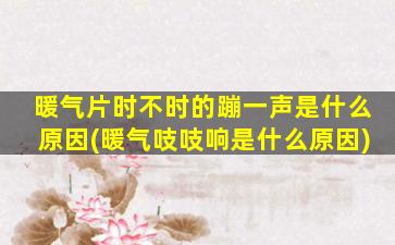 暖气片时不时的蹦一声是什么原因(暖气吱吱响是什么原因)