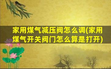 家用煤气减压阀怎么调(家用煤气开关阀门怎么算是打开)