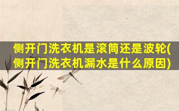 侧开门洗衣机是滚筒还是波轮(侧开门洗衣机漏水是什么原因)