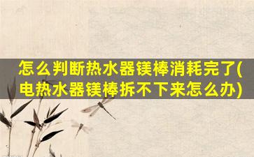 怎么判断热水器镁棒消耗完了(电热水器镁棒拆不下来怎么办)
