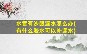 水管有沙眼漏水怎么办(有什么胶水可以补漏水)