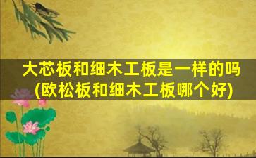 大芯板和细木工板是一样的吗(欧松板和细木工板哪个好)