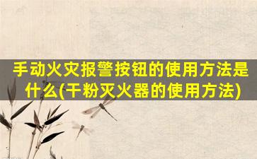 手动火灾报警按钮的使用方法是什么(干粉灭火器的使用方法)
