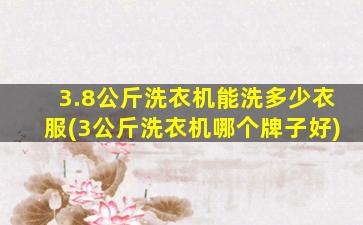 3.8公斤洗衣机能洗多少衣服(3公斤洗衣机哪个牌子好)