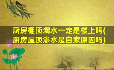 厨房棚顶漏水一定是楼上吗(厨房屋顶渗水是自家原因吗)