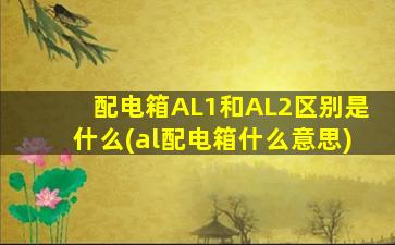 配电箱AL1和AL2区别是什么(al配电箱什么意思)