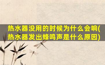 热水器没用的时候为什么会响(热水器发出蜂鸣声是什么原因)