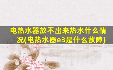 电热水器放不出来热水什么情况(电热水器e3是什么故障)